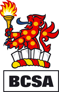 British Constructional Steelwork Association